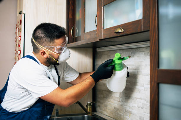 Best Pest Removal Services  in Cloverdale, VA