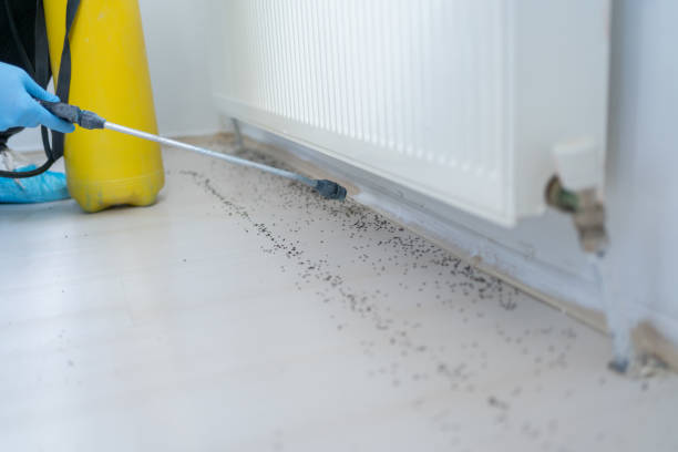 Best Pest Prevention Services  in Cloverdale, VA